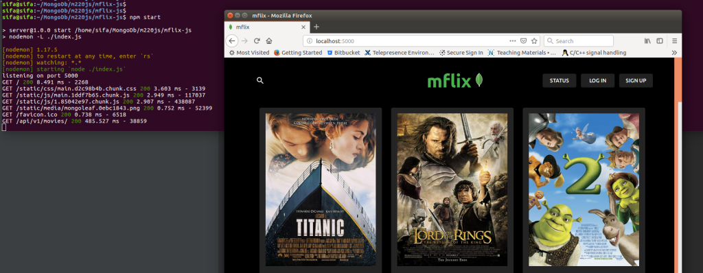 Mflix movie database project screenshot